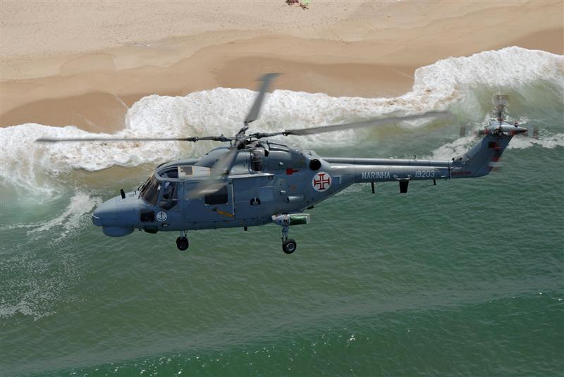 Bild 20.JPG - Lynx over the Atlantic coast